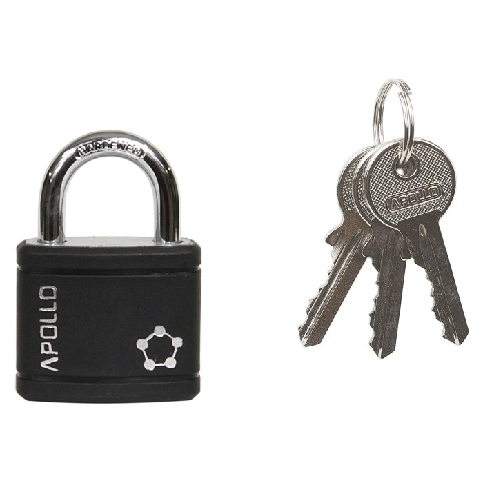 RV.APOLLO.40.CRN.SU1